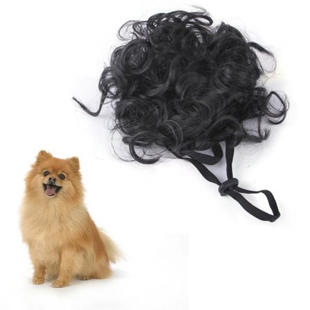 Kjæledyrkostymer Hund Cosplay Parykk, Morsom Hodeplagg Leketøy, Kattekledning til Halloween, Jul, Fester, Festivaler (Svart)