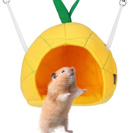 Ananas hamster myk hår hamster hus seng lite dyr hamster hengehus KLB