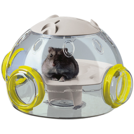 Ferplast - LAB grønn 22,5 x 20,7 cm - Smådyr - Leketøy og aktivering - Aktiveringsleker og fôrballer - ZOO.no