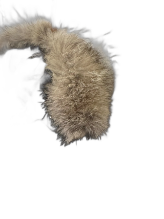 Svart dunjacka från Canada Goose XS