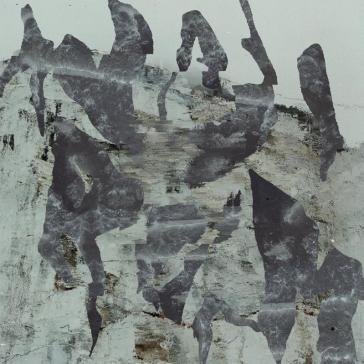 Wadirum Studio Murena