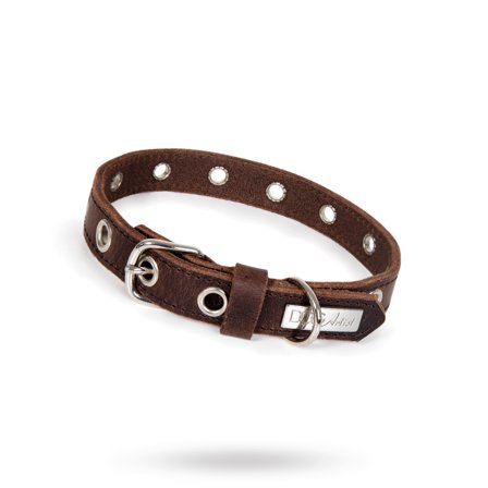 DOGArtist - ROCK Dark Brown - Läder Hundhalsband- Hundhalsband