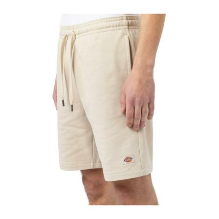 Dickies, Champlin pants Beżowy, Mężczyzna, Rozmiar: XL