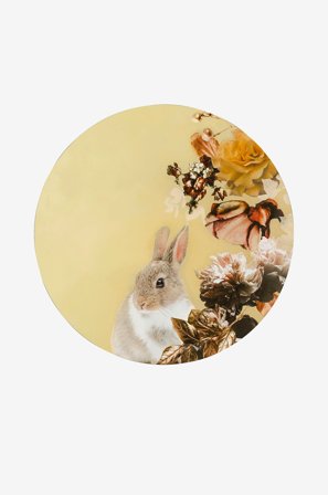 Malerifabrikken - Taulu Pet Couture 4 - Monivärinen - Taulut - - Homeroom