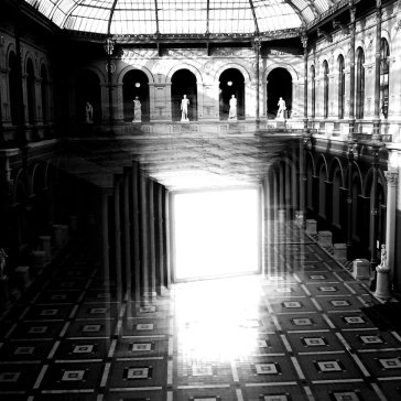 Medicinals (vinyl clear) Timber Timbre