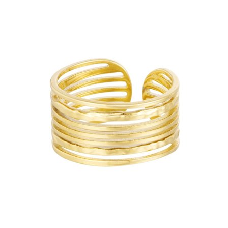 Ring i Rostfritt Stål med Tunna Lager - Guld - Justerbar