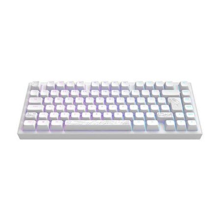 Gaming mechanical keyboard - DARK PROJECT - ALU Terra Nostra - White - Durable PBT - Hot-swappable