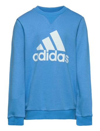 Essentials Sweatshirt Svetari Collegepaita Sininen Adidas Performance