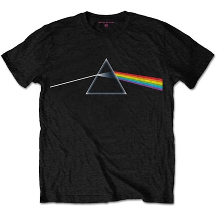 Pink Floyd Unisex Adult Dark Side Of The Moon T-Shirt M Svart