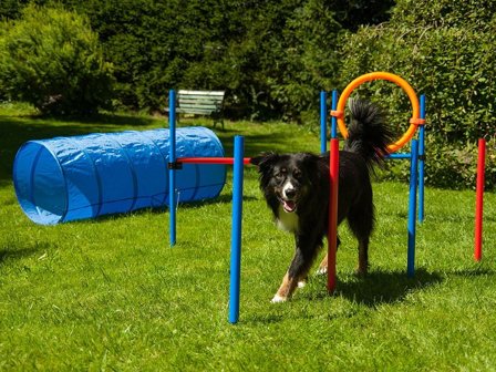 Agility Startersett K2
