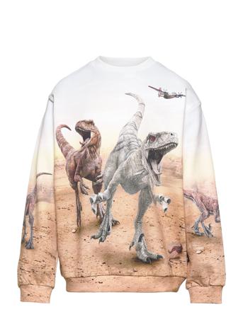Miksi Sweatshirt Trøje Multi/mønstret Molo