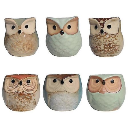Mehitäiskasviruukut 6 kpl Keraamiset Pöllö Kukkaruukut Kaktusruukku Mehikasvi Eläinastia Viemäröintireiällä Kotiin Toimistoihin Pöydälle Puutarhaan
