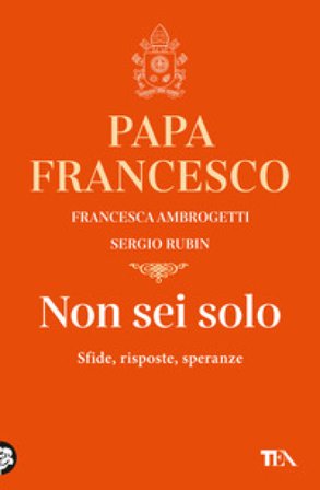 Non sei solo. Sfide, risposte, speranze Sergio Rubin