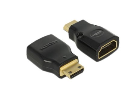Delock Adapter High Speed HDMI with Ethernet - HDMI Mini-C male > HDMI-A female 4K - HDMI-adapter