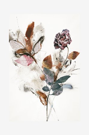 Malerifabrikken - Juliste Playing Flower 1 - Beige - Julisteet - - Homeroom