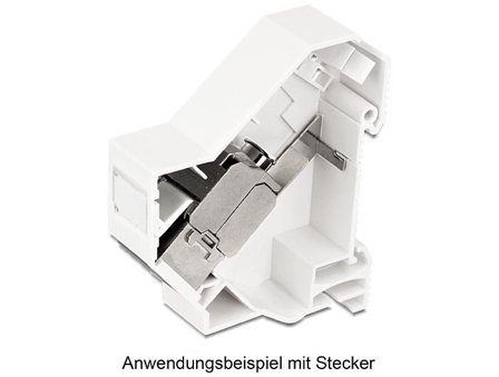 Delock Keystone Mounting for DIN rail shielded - monteringsutgang for DIN-skinne