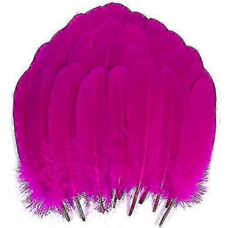 200 stk. Gåse Nagoire Fjer