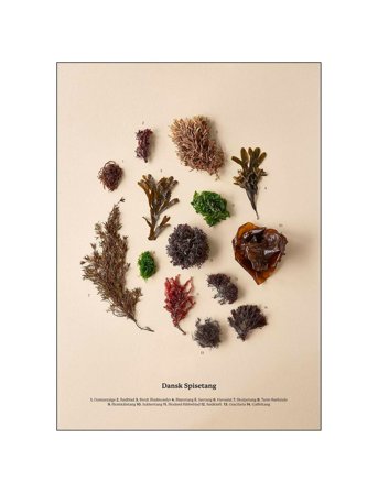 Dansk Spisetang Patterned Supermercat