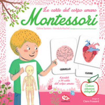 Le carte del corpo umano. Montessori. Ediz. a colori Céline SANTINI