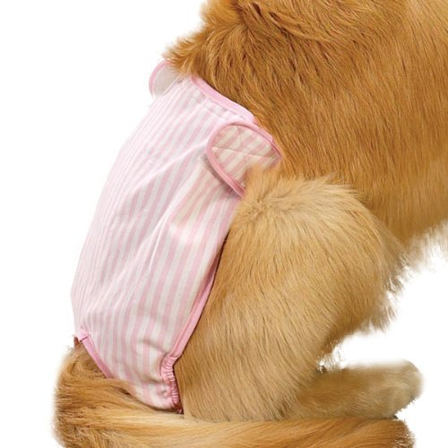 ClearQuest - CQ Female Pup Pants Tispetruse - Rosa - Markeringsbeskyttelse, Tispetruse, Hjemmeapotek på Doggie.no