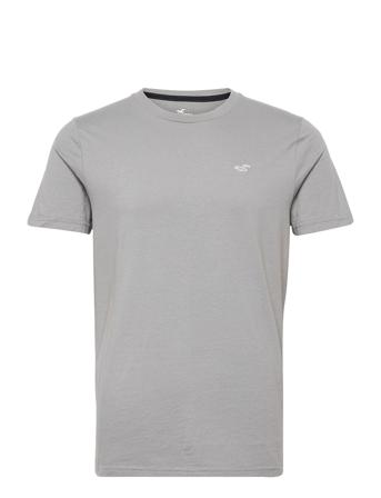 Hco. Guys Knits Grey Hollister