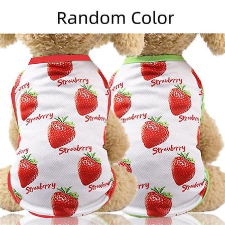 Ny hund Forår Sommer Nederdel Bomuld Kæledyrstøj Sødt frugtmønster Kæledyrskjole T-shirts Kattevest Skjorte Små mellemstore Hundetilbehør 4 L