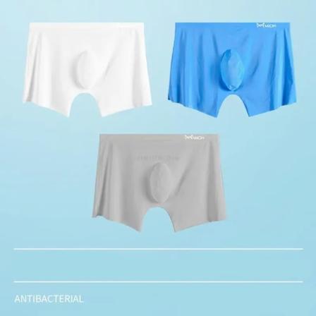 3st 120S Ice Silk Seamless Herrunderkläder Ultratunna andas boxer i ett stycke No Trace Herrtrosor Kalsonger grey blue white XXL