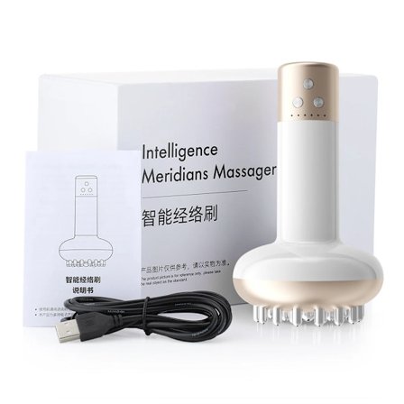 Elektrisk Microcurrent Gua Sha Massasje Meridianbørste Anti Cellulitt Ryggskraping IR Kroppsslanking Lymfedrenasje Massasje