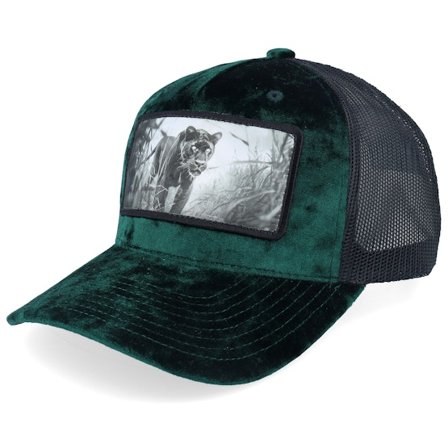 Calza Pennello - Grønn trucker Caps - Black Panther Big Patch Velvet Green/Black Trucker @ Hatstore