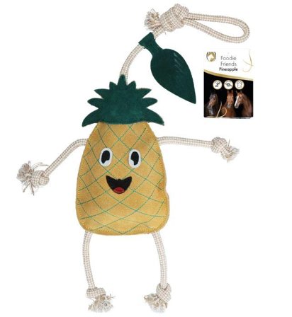 Holland Animal Care Excellent Foodie Friends Ananas