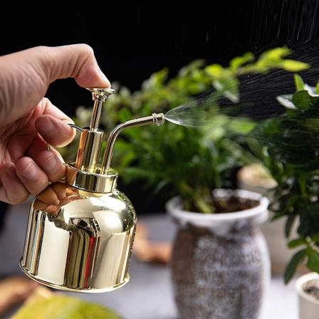 300ml Retro Vandkande Vintage Rustfrit Stål Haveblomstplante Sprøjteflaske Havepotteværktøj Vandingsudstyr Til Havebrug Plantning (guld)