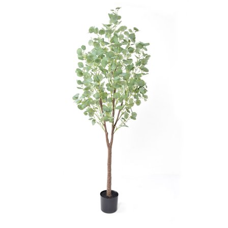 Hopeinen dollari-eukalyptus-tekopuu, 180 cm, vihreä