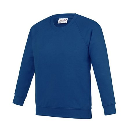Awdis Barn/Barn Akademi Raglan Sweatshirt S Mörk Royal Blå