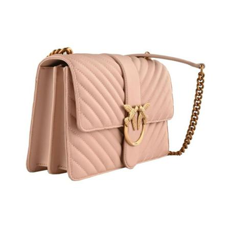 Pinko, Cross Body Bags Roze, Dames, Maat:ONE Size