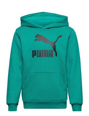 Classics Logo Hoodie Tr B Blue PUMA