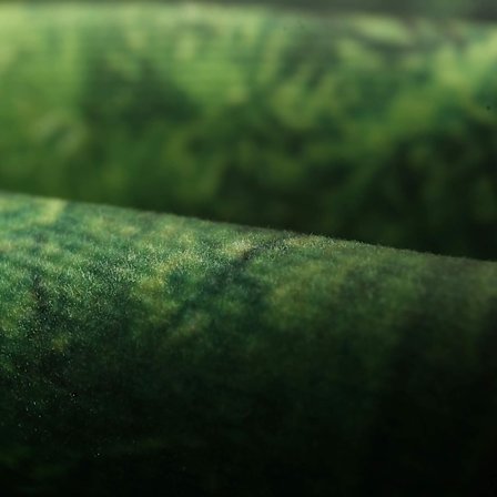 *Veggteppe Veggdekor Psykedelisk Tre Skog Teppe Stoff Vegg*