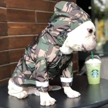 MOTT 50 Hætte Hunderegnfrakke Fransk Bulldog Tøj, Mops Poncho Kæledyr Regnjakke Vandtæt Hoodie til Hund, Vindtæt Reflekterende Sikkerhed 