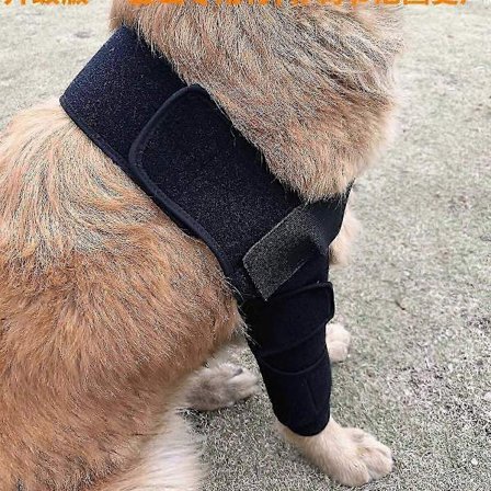 Justerbar albuebeskytter til hunde - Støtte til skuldre, forben skader & gigt (Large)