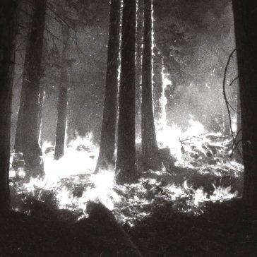 Undergangen DEN SORTE DOD