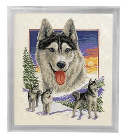 Billede Vintervy - Cewec