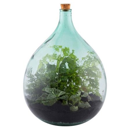 Komplet terrarium sæt til gør-det-selv 35L