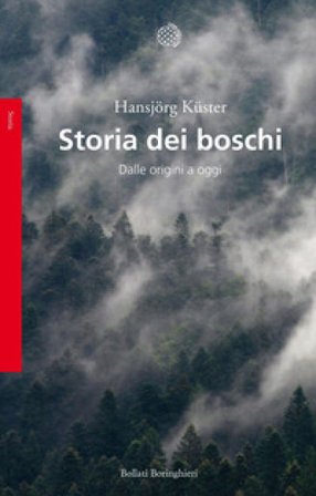 Storia dei boschi. Dalle origini a oggi Hansjörg Küster
