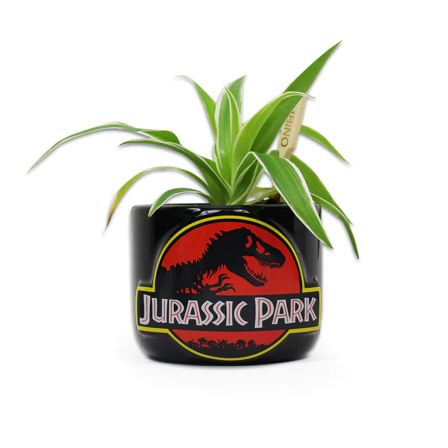 JURASSIC PARK - Logo Kruka