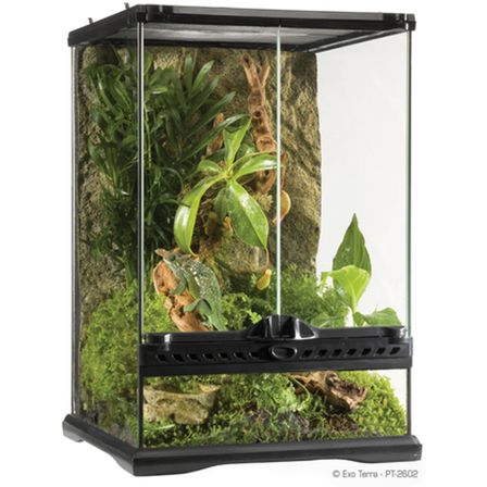 Exoterra - Glassterrarium Naturlig Mini/Tall - 30 x 30 x 45 cm - Reptil - Terrarium - Terrarium- og terrariebakgrunn - ZOO.no