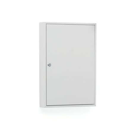 Schlüsselschrank ROWLEY mit 50 Haken, 550 x 380 x 80 mm,grau