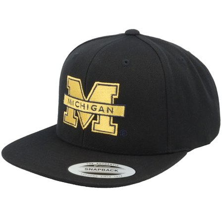 Park Fields - Michigan Wolverines Logo Black Snapback Snapback Black Cap - College @ Hatstore