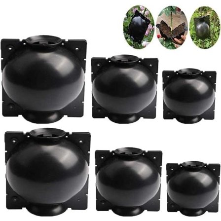 Stk. Assisteret Roddannelse af Frøplanter, Genanvendelig Rodvækstkasse Plante