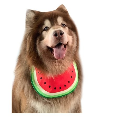 Hundesmekke Hundebandasje Tegneserie Vannmelon Kjæledyrhalsduk Hundekostyme Tilbehør Sommer Vanntett Hundesmekke - Medium
