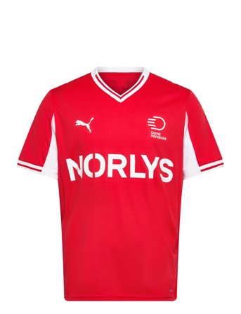 PUMA Dhf Home Jersey - Red - L