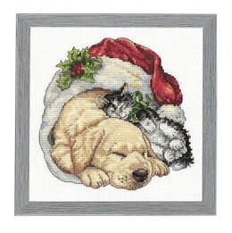 Bild Freunde - Dimensions